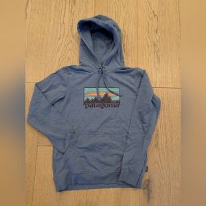 Patagonia Light Blue Hoodie